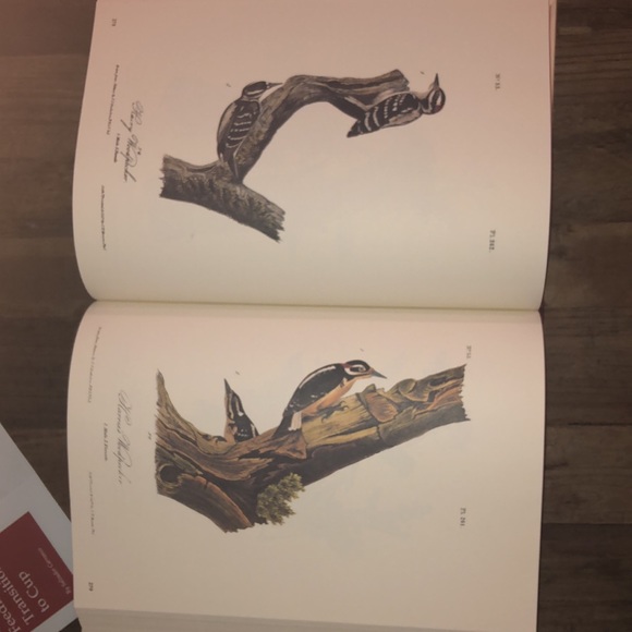 Times,books. The Art Of Audubon. Like New. Condition. - Picture 2 of 8